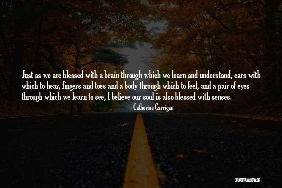 Brain Quotes Quotes By Catherine Carrigan Brain Quotes Quotes By Catherine Carrigan