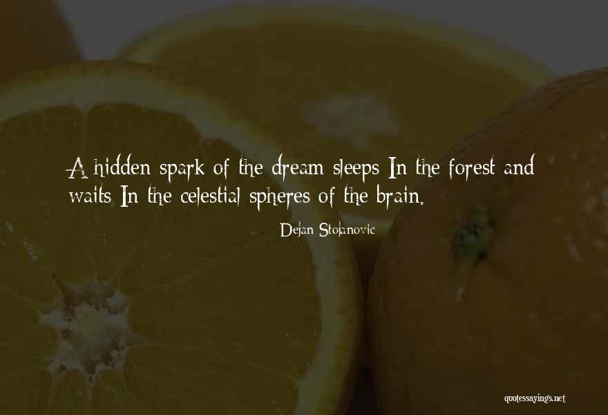 Brain Quotes Quotes By Dejan Stojanovic Brain Quotes Quotes By Dejan Stojanovic