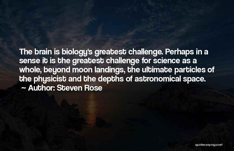 Brain Science Quotes By Steven Rose