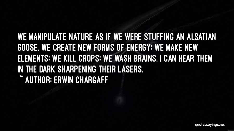 Brain Sharpening Quotes By Erwin Chargaff