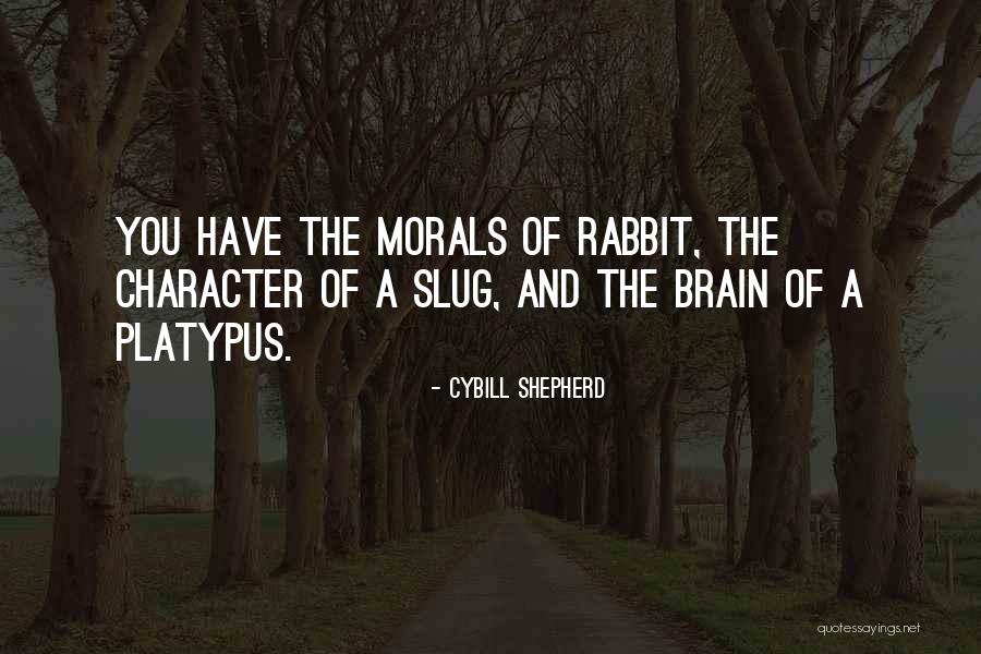 Brain Slug Quotes By Cybill Shepherd