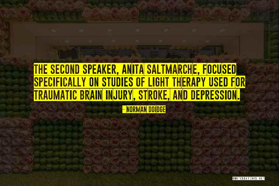 Brain Stroke Quotes By Norman Doidge Brain Stroke Quotes By Norman Doidge