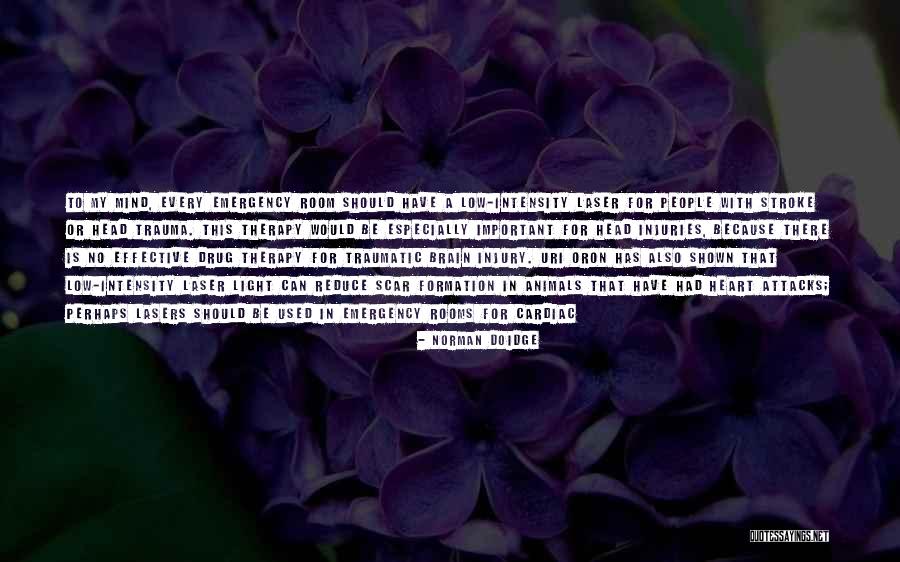 Brain Stroke Quotes By Norman Doidge Brain Stroke Quotes By Norman Doidge