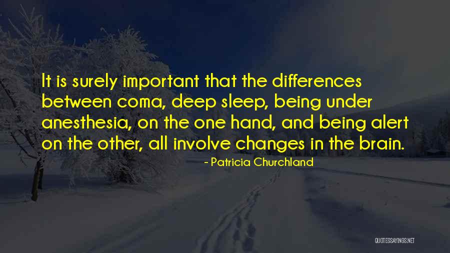 Brain That Changes Quotes By Patricia Churchland Brain That Changes Quotes By Patricia Churchland
