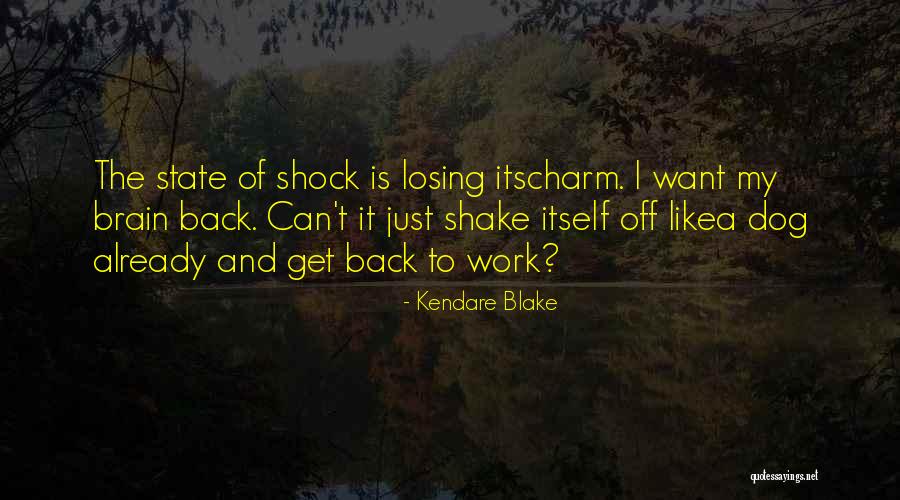 Brain The Dog Quotes By Kendare Blake Brain The Dog Quotes By Kendare Blake