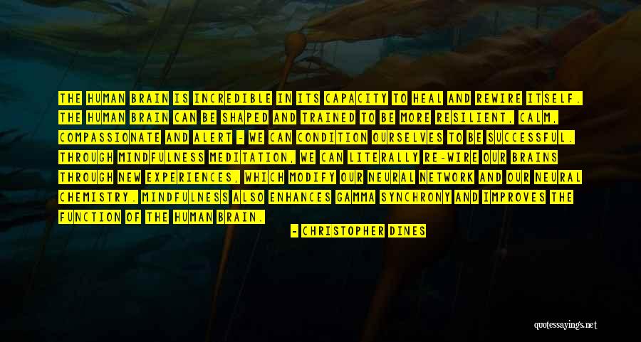 Brain To Brain Synchrony Quotes By Christopher Dines Brain To Brain Synchrony Quotes By Christopher Dines