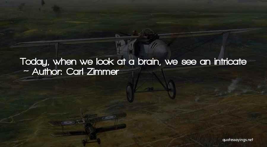 Brain Vs Heart Quotes By Carl Zimmer