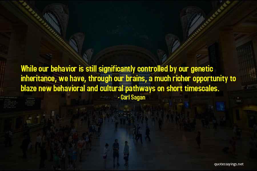 Brain What And Where Pathways Quotes By Carl Sagan Brain What And Where Pathways Quotes By Carl Sagan