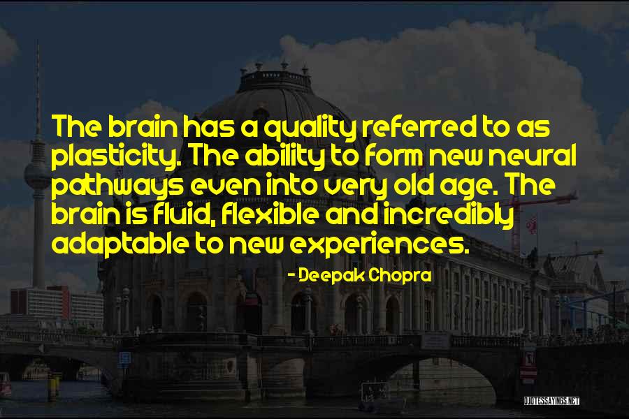 Brain What And Where Pathways Quotes By Deepak Chopra Brain What And Where Pathways Quotes By Deepak Chopra