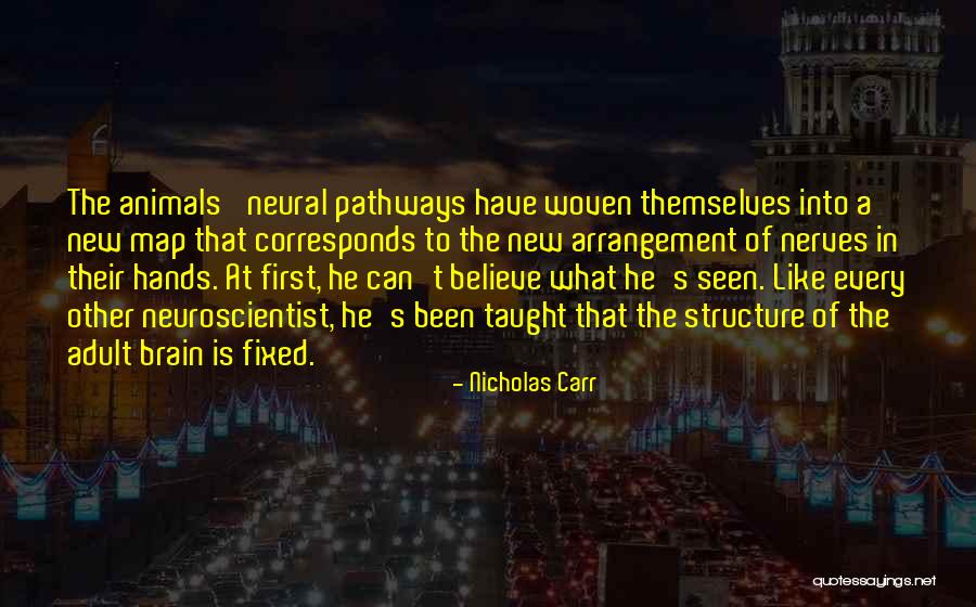Brain What And Where Pathways Quotes By Nicholas Carr Brain What And Where Pathways Quotes By Nicholas Carr