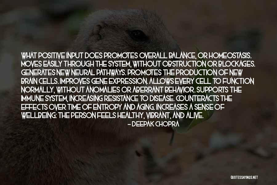 Brain What System Quotes By Deepak Chopra Brain What System Quotes By Deepak Chopra