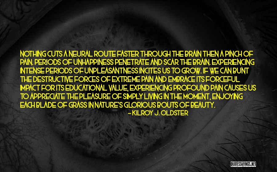Brain Without Beauty Quotes By Kilroy J. Oldster Brain Without Beauty Quotes By Kilroy J. Oldster
