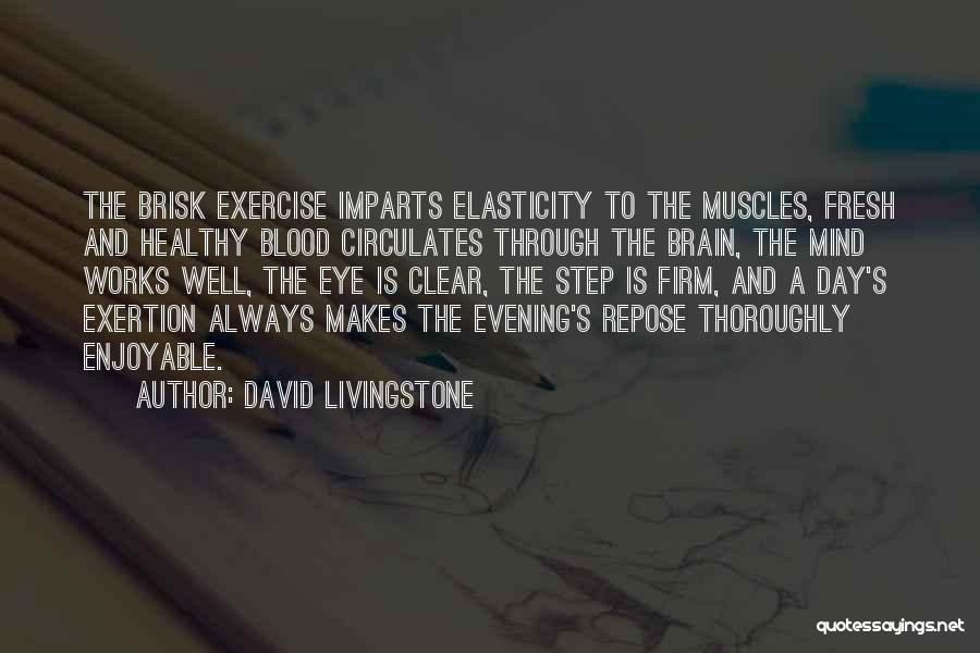 Brain Works Quotes By David Livingstone