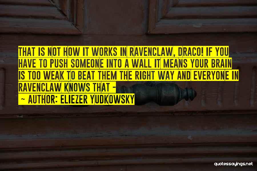 Brain Works Quotes By Eliezer Yudkowsky