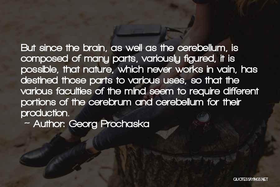 Brain Works Quotes By Georg Prochaska