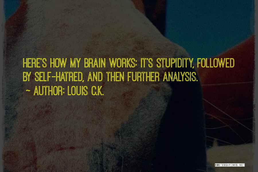 Brain Works Quotes By Louis C.K.