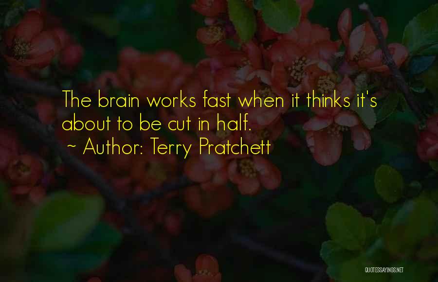 Brain Works Quotes By Terry Pratchett