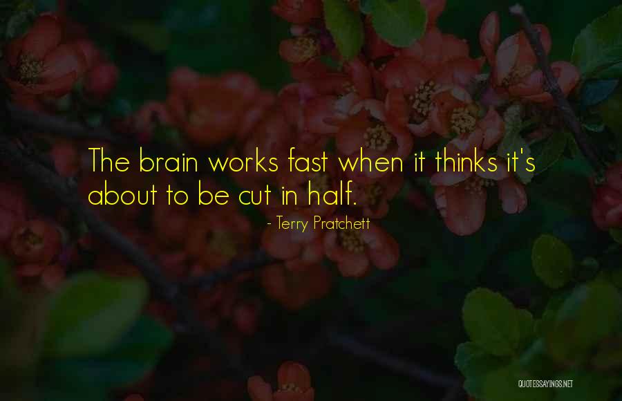 Brain Works Quotes By Terry Pratchett