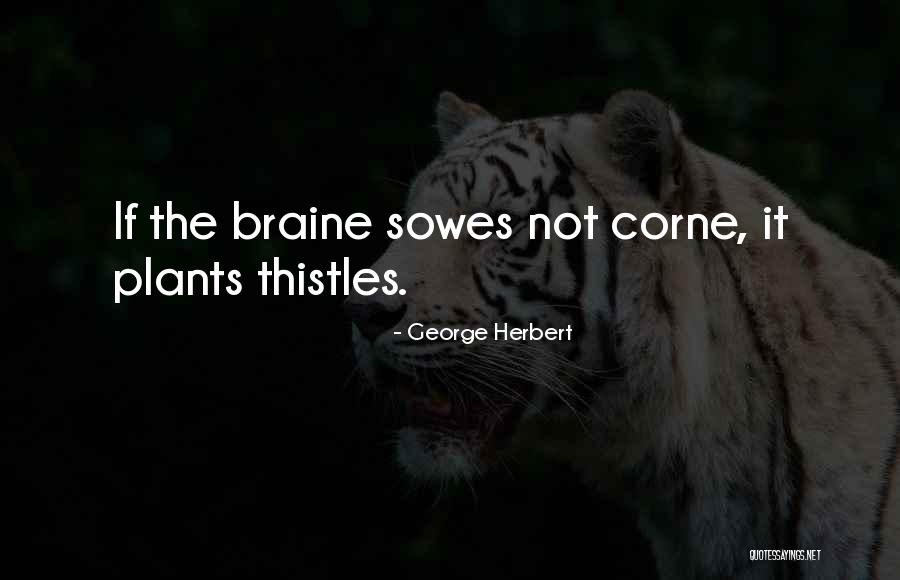Braine Quotes By George Herbert