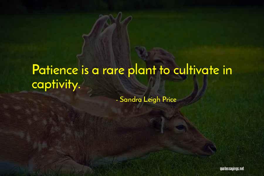 Braine Quotes By Sandra Leigh Price