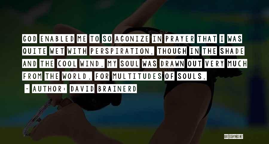 Brainerd Quotes By David Brainerd