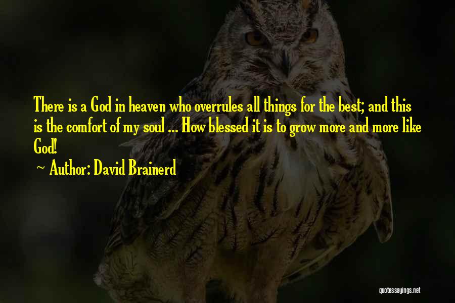 Brainerd Quotes By David Brainerd