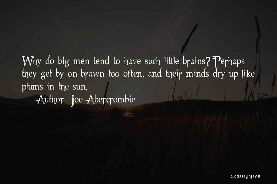 Brains And Brawn Quotes By Joe Abercrombie