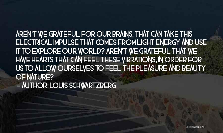 Brains And Hearts Quotes By Louis Schwartzberg