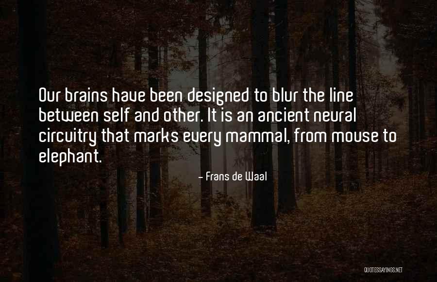 Brains Self Quotes By Frans De Waal Brains Self Quotes By Frans De Waal