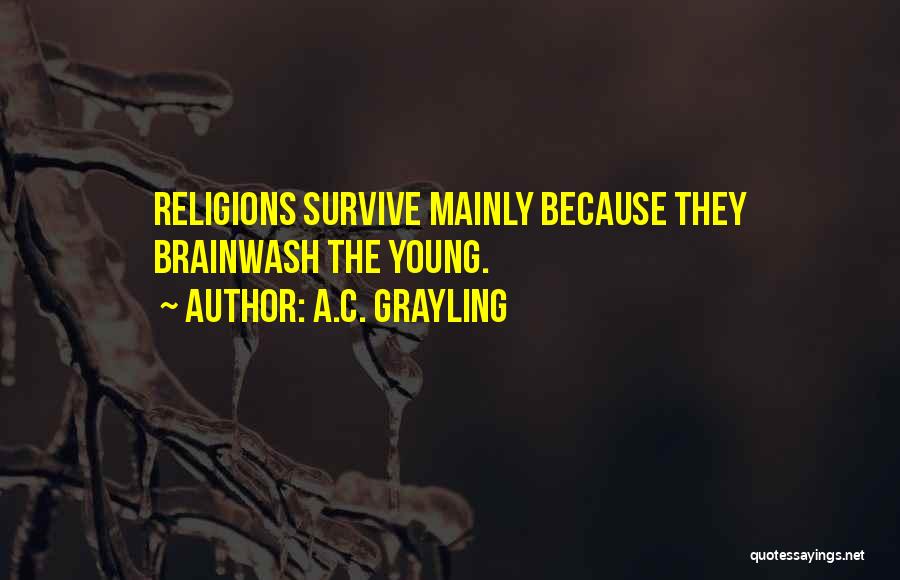 Brainwash Quotes By A.C. Grayling