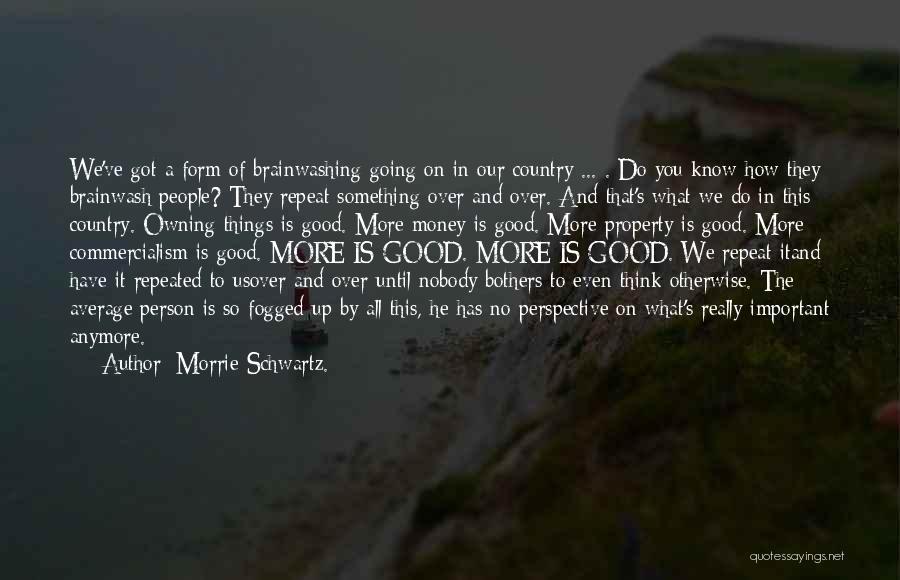 Brainwash Quotes By Morrie Schwartz.