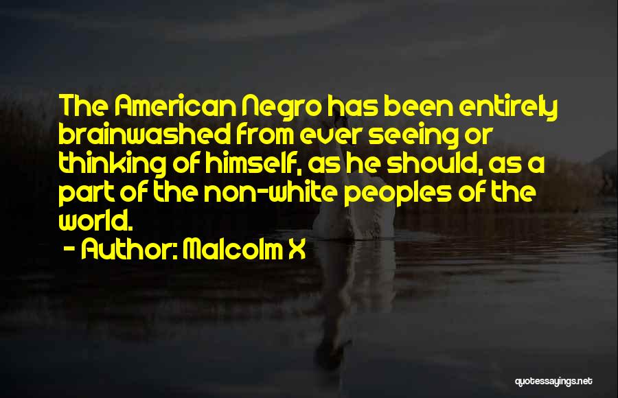 Brainwashed Quotes By Malcolm X