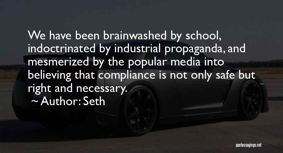 Brainwashed Quotes By Seth