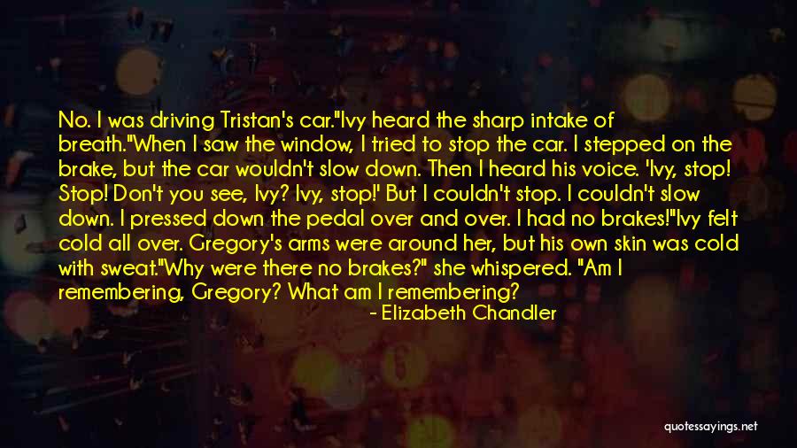 Brake Quotes By Elizabeth Chandler Brake Quotes By Elizabeth Chandler