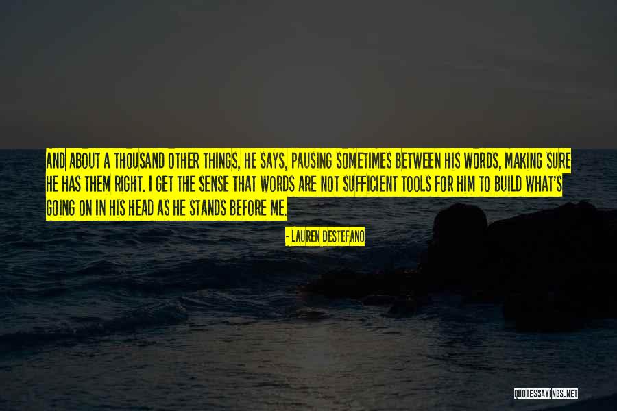 Brakemans Riveter Quotes By Lauren DeStefano Brakemans Riveter Quotes By Lauren DeStefano