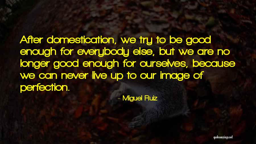 Brakonierebi Quotes By Miguel Ruiz Brakonierebi Quotes By Miguel Ruiz