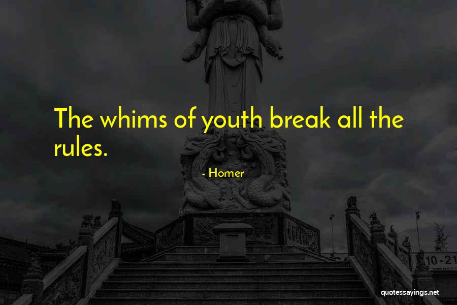Bralessness On Youtube Quotes By Homer Bralessness On Youtube Quotes By Homer