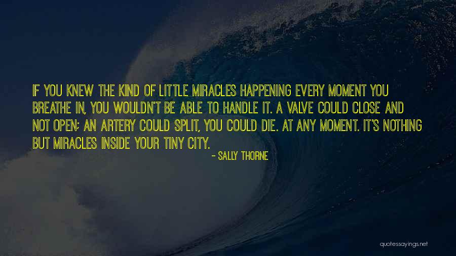 Bralyn Quotes By Sally Thorne Bralyn Quotes By Sally Thorne