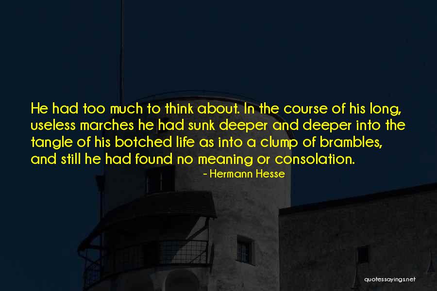 Brambles Quotes By Hermann Hesse Brambles Quotes By Hermann Hesse