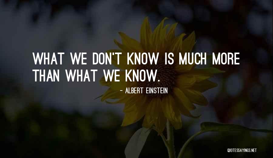 Brancaia Il Quotes By Albert Einstein