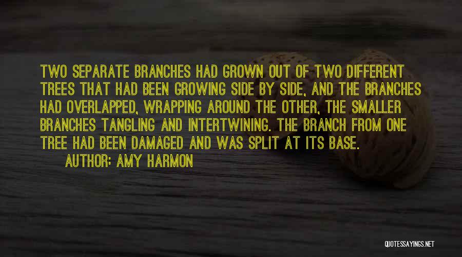 Branch Of Tree Quotes By Amy Harmon