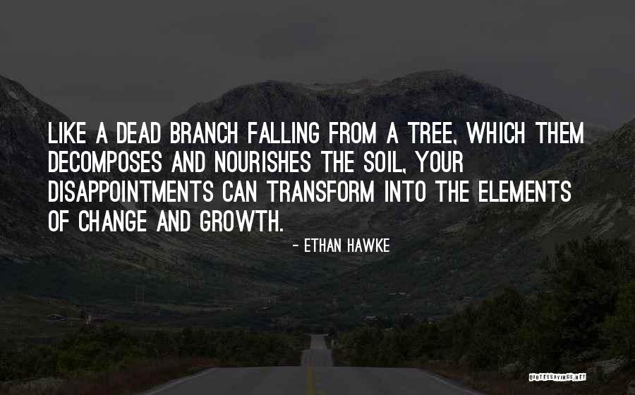 Branch Of Tree Quotes By Ethan Hawke