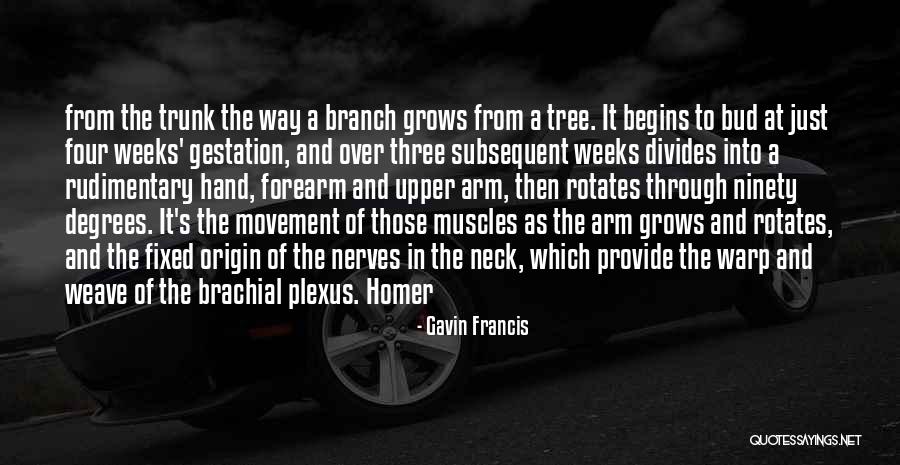 Branch Of Tree Quotes By Gavin Francis