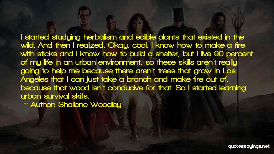 Branch Of Tree Quotes By Shailene Woodley