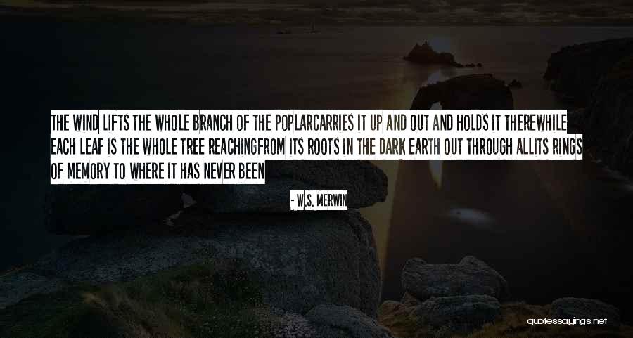 Branch Of Tree Quotes By W.S. Merwin