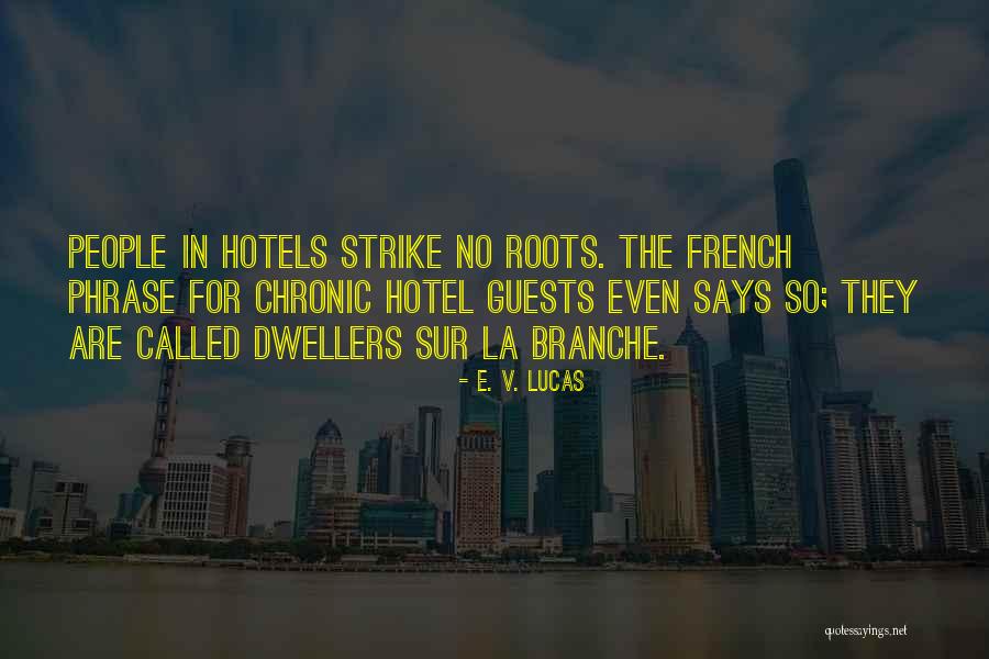 Branche Quotes By E. V. Lucas Branche Quotes By E. V. Lucas