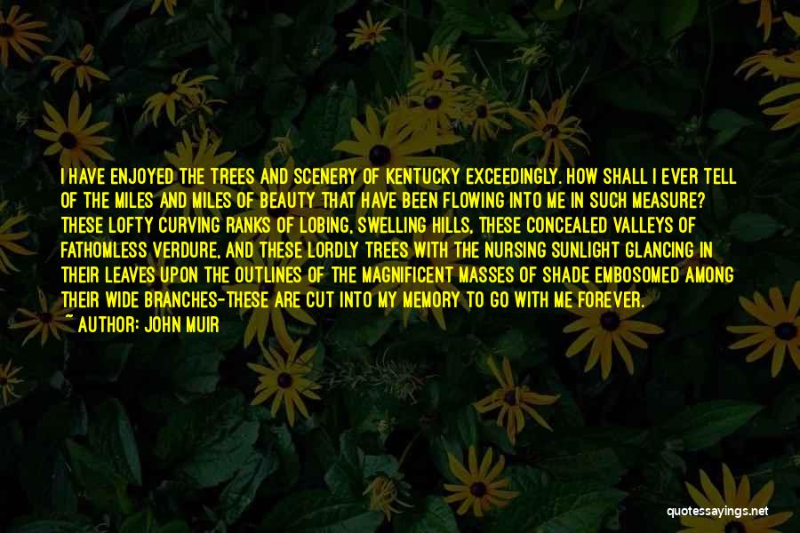 Branches And Leaves Quotes By John Muir