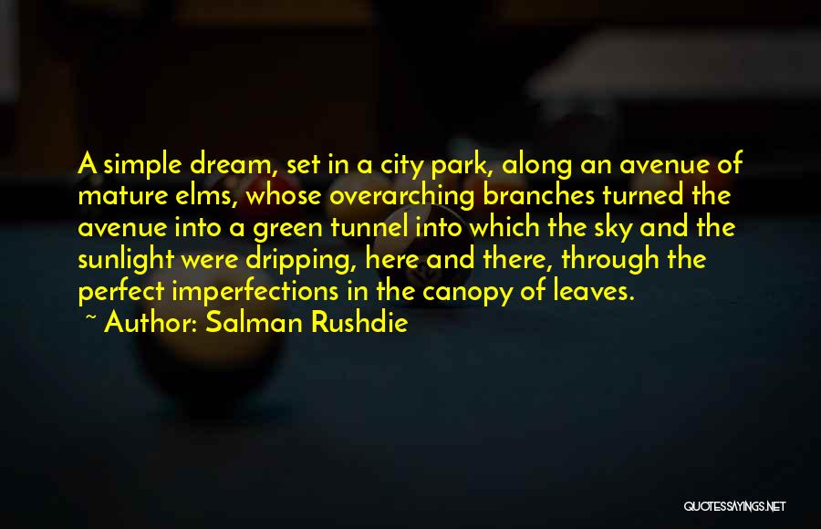 Branches And Leaves Quotes By Salman Rushdie