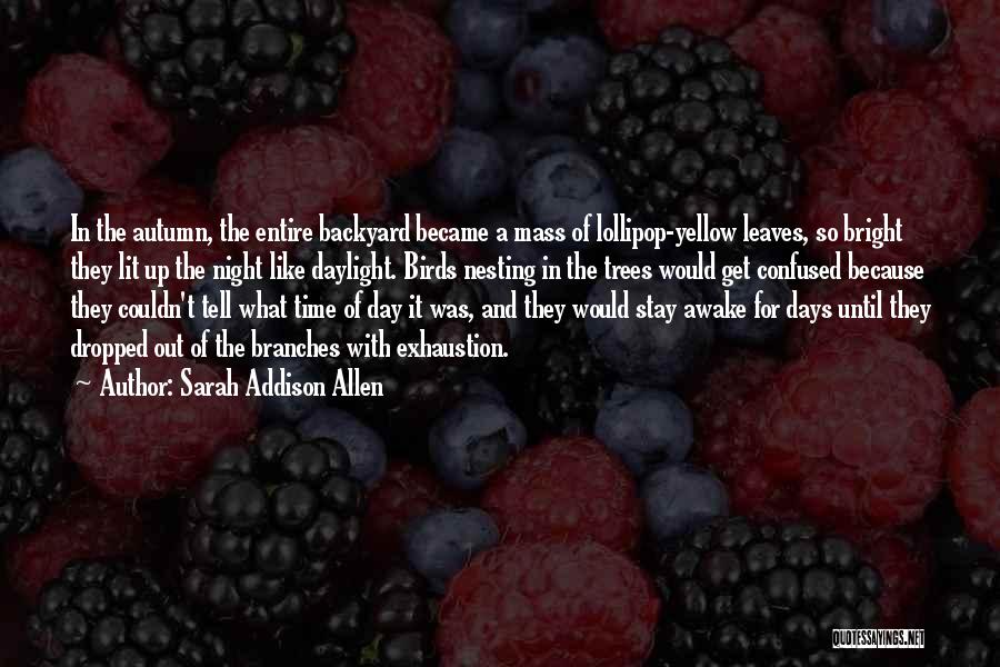 Branches And Leaves Quotes By Sarah Addison Allen