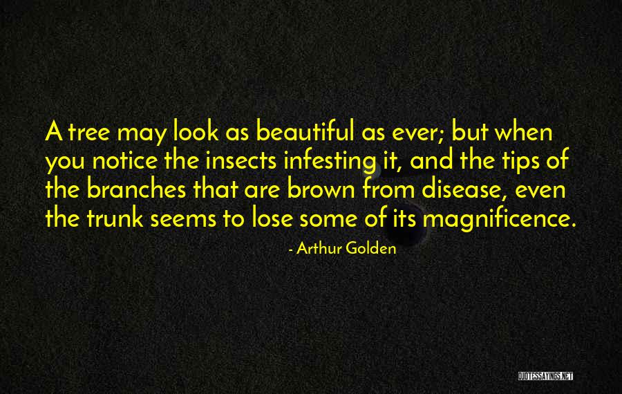 Branches Of A Tree Quotes By Arthur Golden Branches Of A Tree Quotes By Arthur Golden